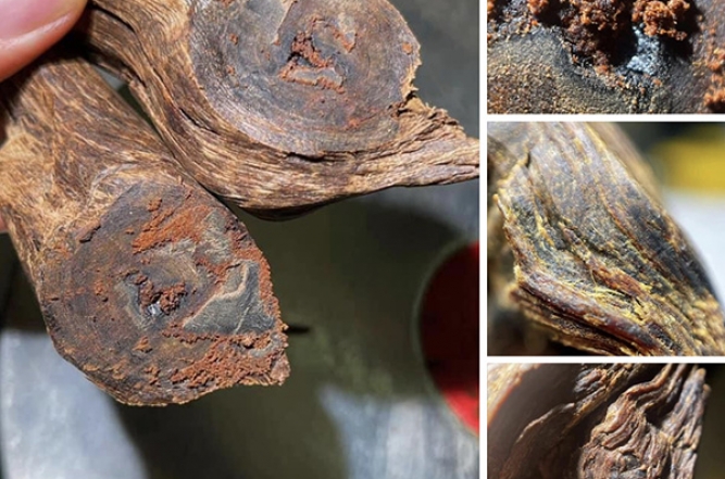Trầm hương là gì?